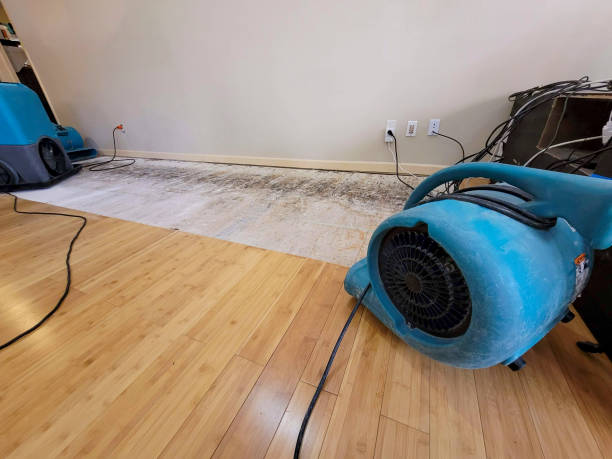 Professional Basement Flood Cleanup technician working in Valley View, OH
